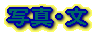 ʐ^E